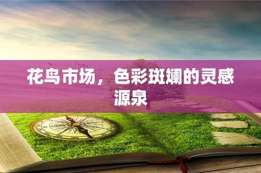花鸟市场，色彩斑斓的灵感源泉