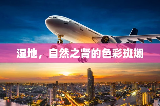 湿地，自然之肾的色彩斑斓