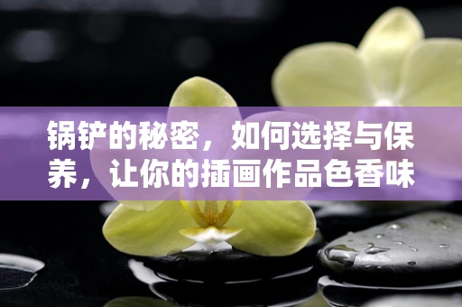 锅铲的秘密，如何选择与保养，让你的插画作品色香味俱全？