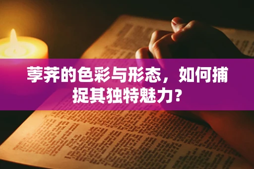 荸荠的色彩与形态，如何捕捉其独特魅力？