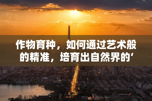 作物育种，如何通过艺术般的精准，培育出自然界的‘杰作’？