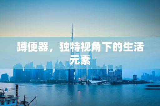 蹲便器，独特视角下的生活元素