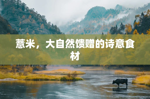 薏米，大自然馈赠的诗意食材