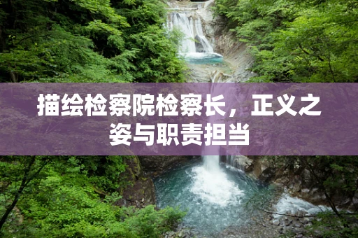 描绘检察院检察长，正义之姿与职责担当