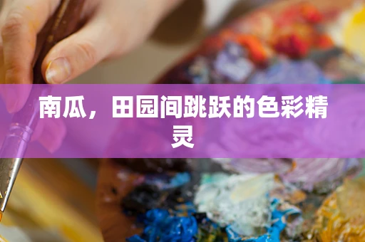 南瓜，田园间跳跃的色彩精灵