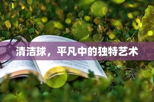 清洁球，平凡中的独特艺术