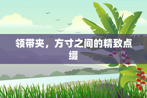 领带夹，方寸之间的精致点缀