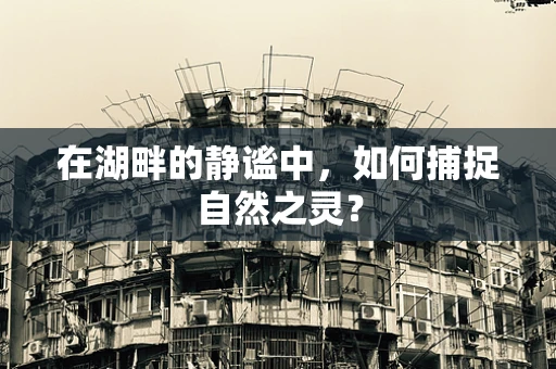 在湖畔的静谧中，如何捕捉自然之灵？