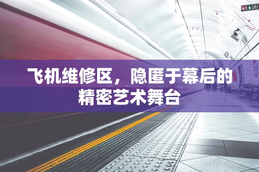 飞机维修区，隐匿于幕后的精密艺术舞台