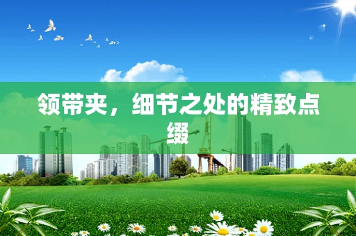 领带夹，细节之处的精致点缀