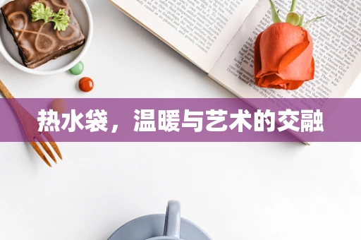 热水袋，温暖与艺术的交融
