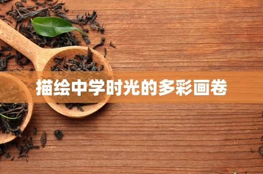 描绘中学时光的多彩画卷