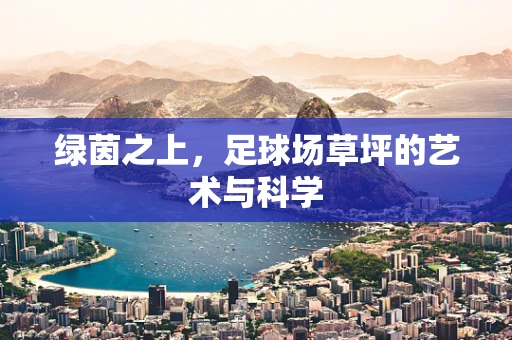 绿茵之上，足球场草坪的艺术与科学