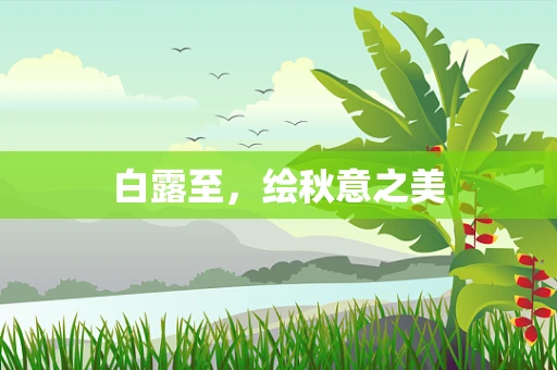 白露至，绘秋意之美