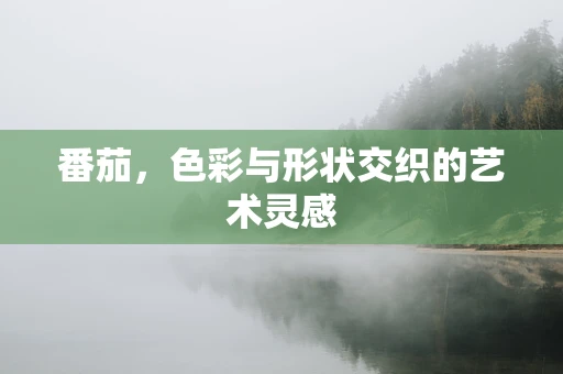 番茄，色彩与形状交织的艺术灵感