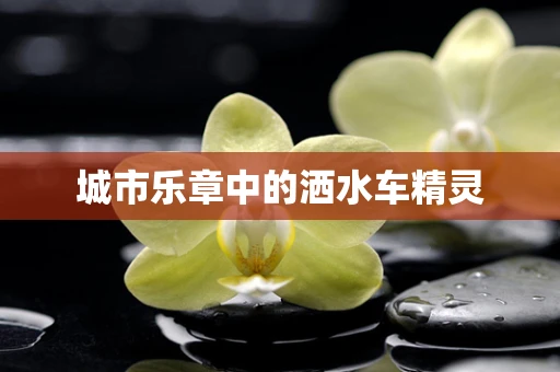 城市乐章中的洒水车精灵
