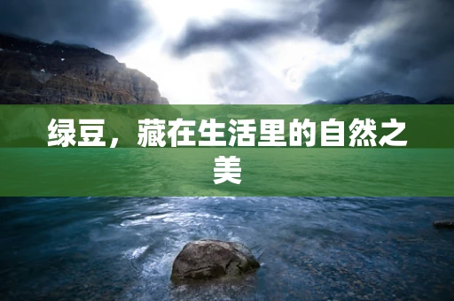 绿豆，藏在生活里的自然之美