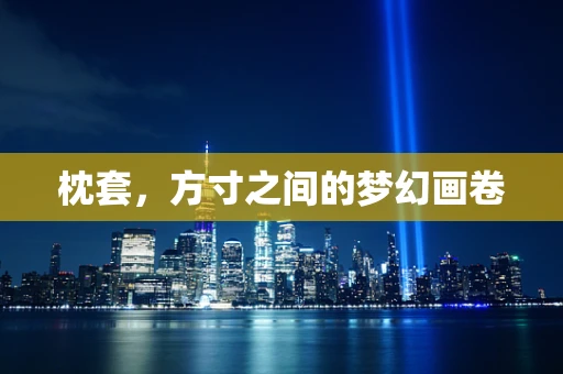 枕套，方寸之间的梦幻画卷