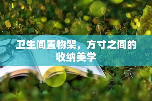 卫生间置物架，方寸之间的收纳美学