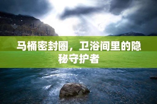 马桶密封圈，卫浴间里的隐秘守护者
