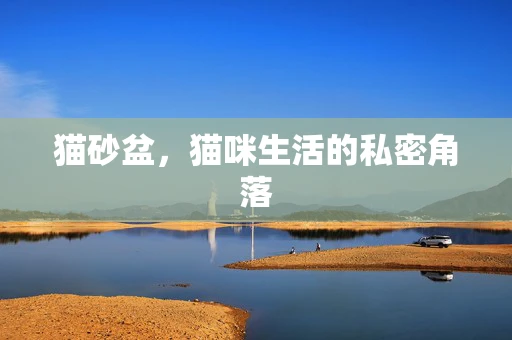 猫砂盆，猫咪生活的私密角落