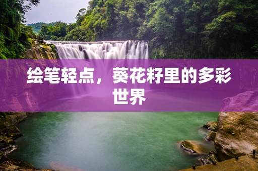 绘笔轻点，葵花籽里的多彩世界
