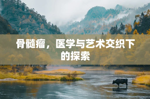 骨髓瘤，医学与艺术交织下的探索