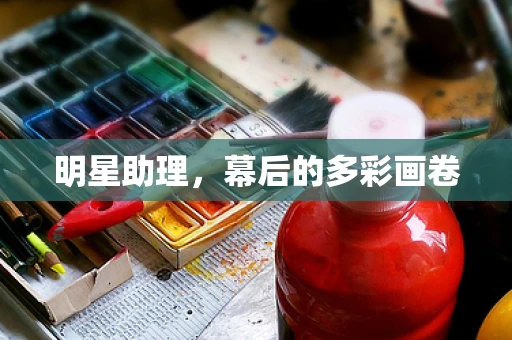 明星助理，幕后的多彩画卷