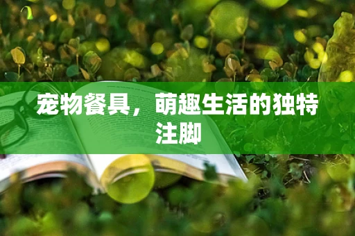 宠物餐具，萌趣生活的独特注脚