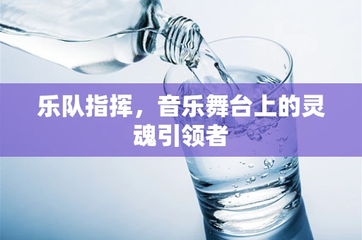 乐队指挥，音乐舞台上的灵魂引领者
