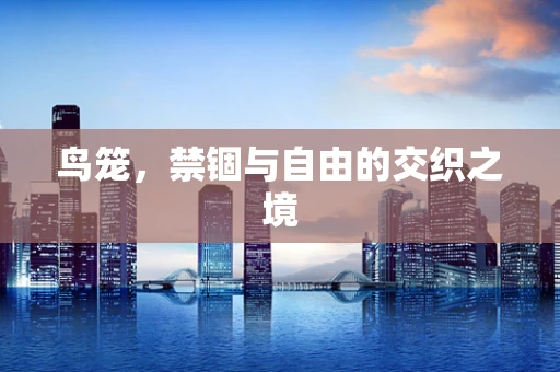 鸟笼，禁锢与自由的交织之境