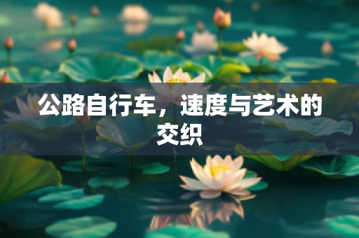 公路自行车，速度与艺术的交织