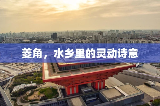 菱角，水乡里的灵动诗意