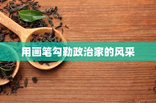 用画笔勾勒政治家的风采
