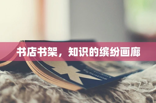书店书架，知识的缤纷画廊