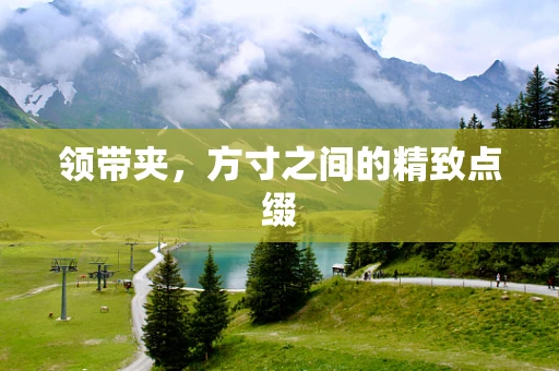 领带夹，方寸之间的精致点缀