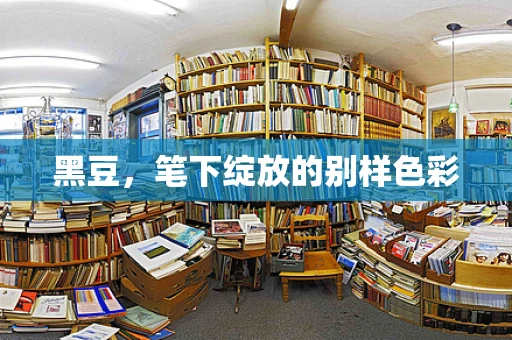 黑豆，笔下绽放的别样色彩