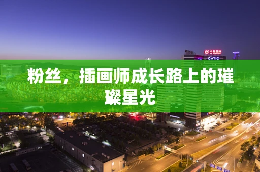 粉丝，插画师成长路上的璀璨星光
