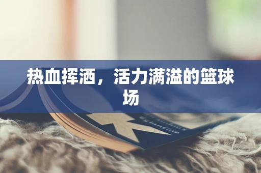 热血挥洒，活力满溢的篮球场