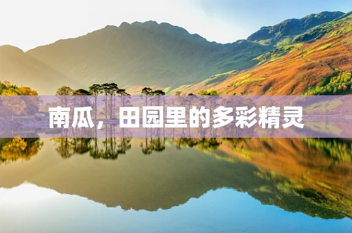 南瓜，田园里的多彩精灵