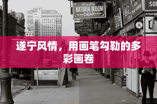 遂宁风情，用画笔勾勒的多彩画卷