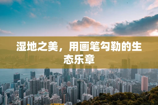 湿地之美，用画笔勾勒的生态乐章