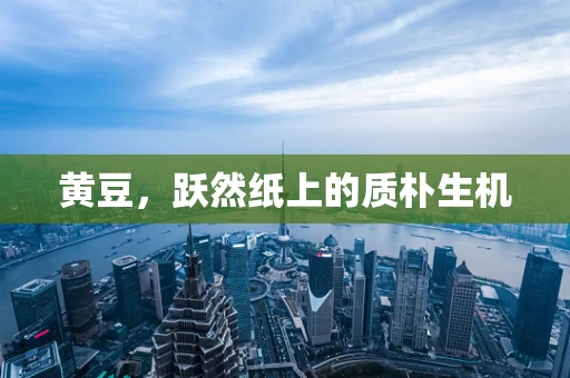 黄豆，跃然纸上的质朴生机