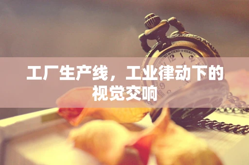 工厂生产线，工业律动下的视觉交响