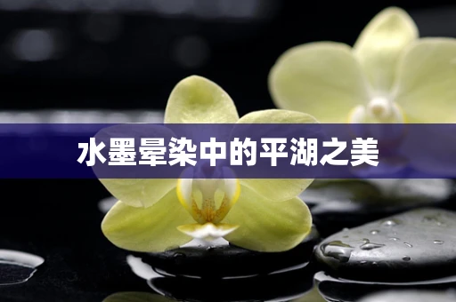 水墨晕染中的平湖之美