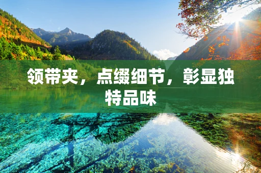 领带夹，点缀细节，彰显独特品味