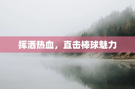 挥洒热血，直击棒球魅力