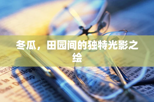 冬瓜，田园间的独特光影之绘