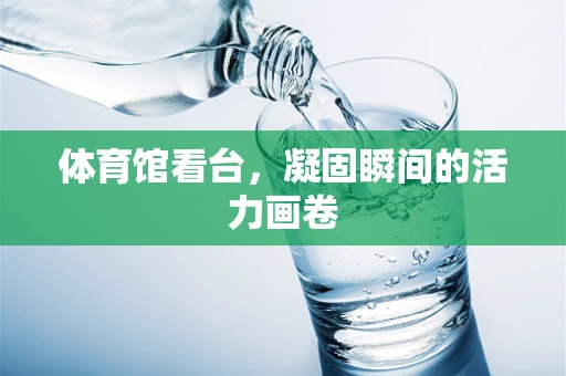 体育馆看台，凝固瞬间的活力画卷