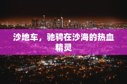 沙地车，驰骋在沙海的热血精灵